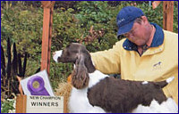 Aloha - Best of Winners A Major 2008