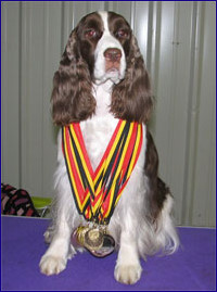 Aloha – nennt sich nun A/Int’l. CH All-Time’s Summer Beach Party