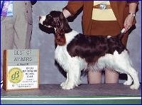 Aloha - Best of Winners A Major 2007