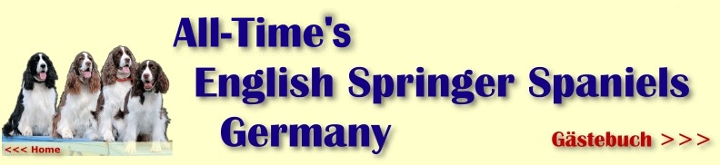 Zurück zur Startseite