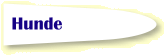 Hunde