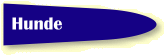 Hunde
