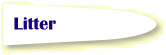 Litter